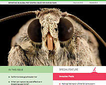 Pest Control Southend