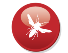 pest control essex