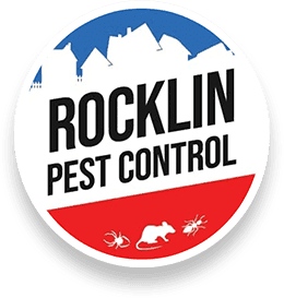 pest control basildon