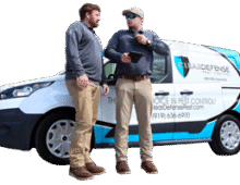 pest control luton