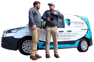 pest control luton